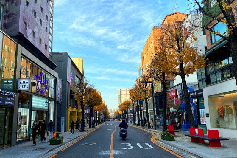 Garosu-gil tree-lined shopping street in Gangnam Seoul with boutiques and cafes