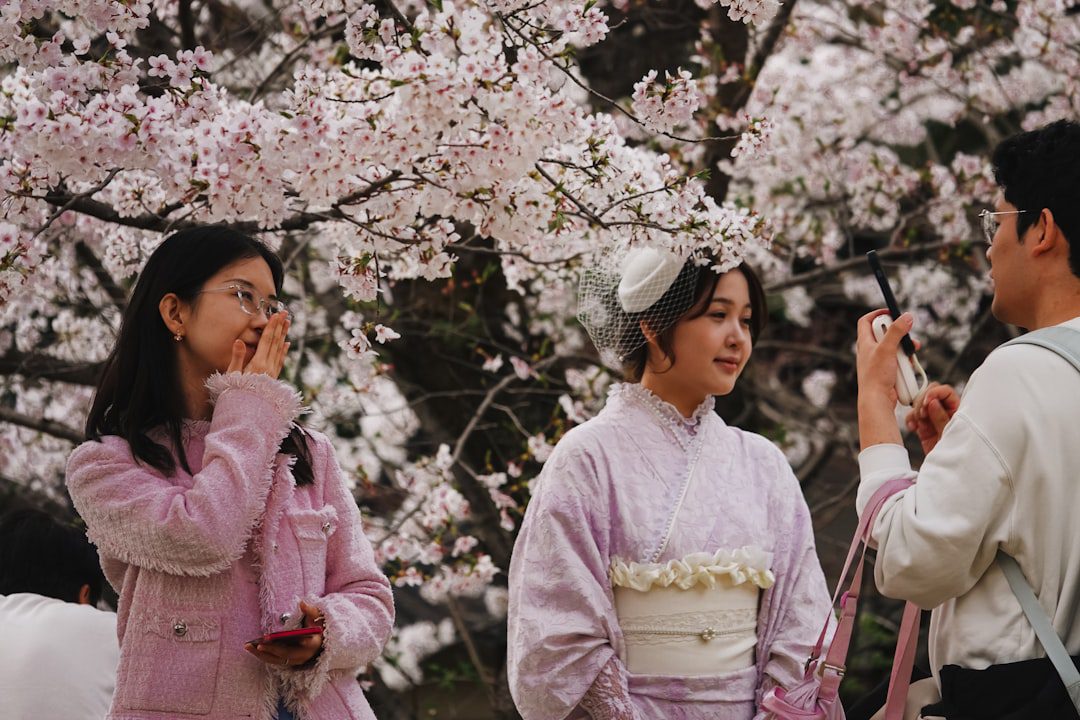 People posing under blooming cherry blossom trees