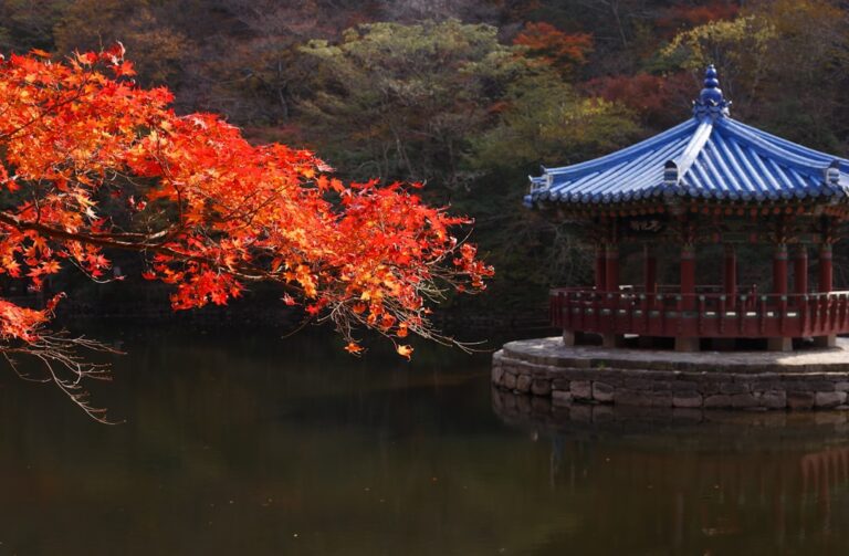 Korean Autumn Foliage: Best Spots & When to Visit (2026) - KoreaPeek